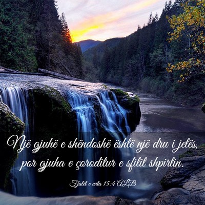 Picture 03 - Fjalët e urta 15:4 ALB - Një gjuhë e shëndoshë është një dru i - Bible Verse Picture