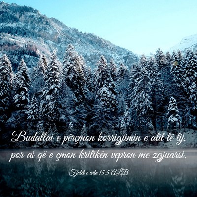 Picture 03 - Fjalët e urta 15:5 ALB - Budallai e përçmon korrigjimin e atit të tij, - Bible Verse Picture