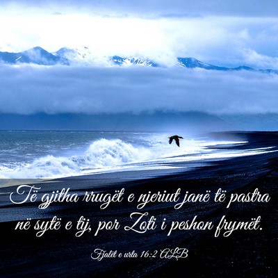 Picture 03 - Fjalët e urta 16:2 ALB - Të gjitha rrugët e njeriut janë të pastra në - Bible Verse Picture