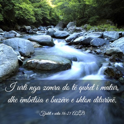 Picture 03 - Fjalët e urta 16:21 ALB - I urti nga zemra do të quhet i matur, dhe - Bible Verse Picture