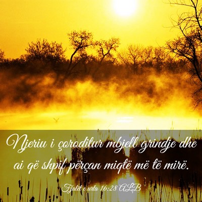Picture 03 - Fjalët e urta 16:28 ALB - Njeriu i çoroditur mbjell grindje dhe ai që - Bible Verse Picture