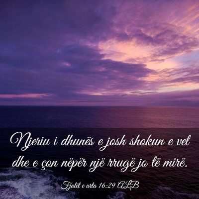 Picture 03 - Fjalët e urta 16:29 ALB - Njeriu i dhunës e josh shokun e vet dhe e çon - Bible Verse Picture