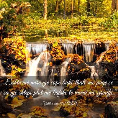 Picture 03 - Fjalët e urta 17:1 ALB - Éshtë më mirë një copë bukë thatë me paqe - Bible Verse Picture