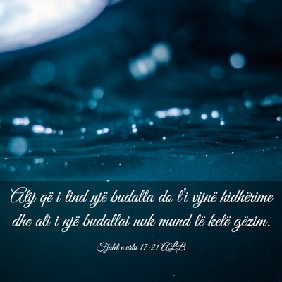 Picture 03 - Fjalët e urta 17:21 ALB - Atij që i lind një budalla do t’i vijnë - Bible Verse Picture