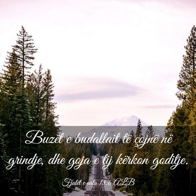 Picture 03 - Fjalët e urta 18:6 ALB - Buzët e budallait të çojnë në grindje, dhe - Bible Verse Picture