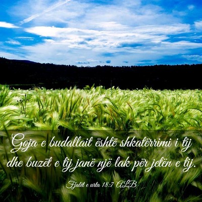 Picture 03 - Fjalët e urta 18:7 ALB - Goja e budallait është shkatërrimi i tij dhe - Bible Verse Picture