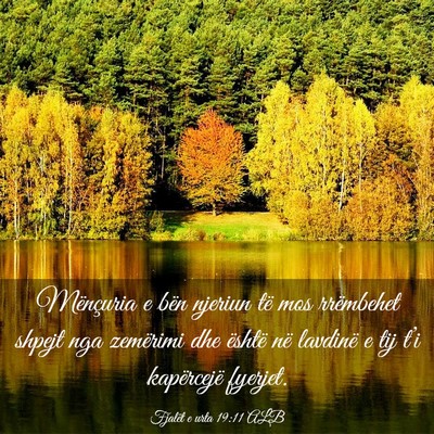 Picture 03 - Fjalët e urta 19:11 ALB - Mënçuria e bën njeriun të mos rrëmbehet - Bible Verse Picture