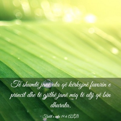 Picture 03 - Fjalët e urta 19:6 ALB - Të shumtë janë ata që kërkojnë favorin e - Bible Verse Picture