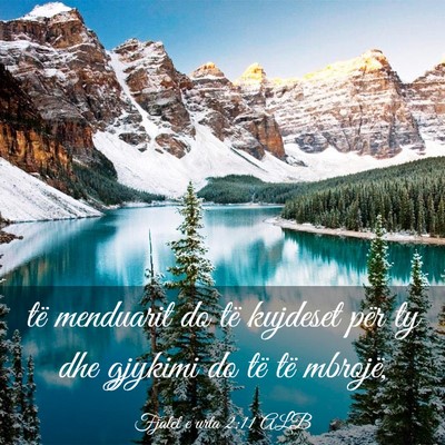 Picture 03 - Fjalët e urta 2:11 ALB - të menduarit do të kujdeset për ty dhe gjykimi - Bible Verse Picture