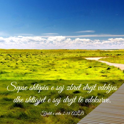 Picture 03 - Fjalët e urta 2:18 ALB - Sepse shtëpia e saj zbret drejt vdekjes dhe - Bible Verse Picture