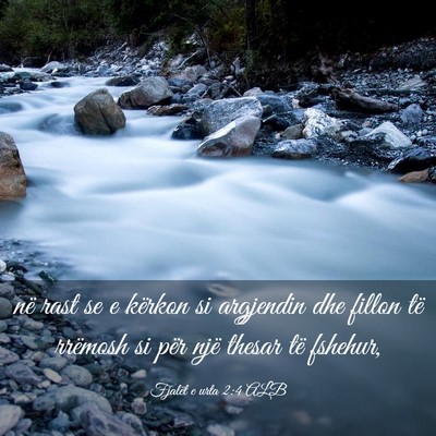 Picture 03 - Fjalët e urta 2:4 ALB - në rast se e kërkon si argjendin dhe fillon të - Bible Verse Picture
