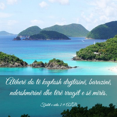 Picture 03 - Fjalët e urta 2:9 ALB - Atëherë do të kuptosh drejtësinë, barazinë, - Bible Verse Picture