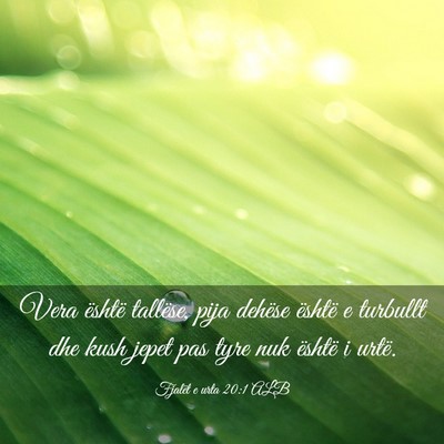 Picture 03 - Fjalët e urta 20:1 ALB - Vera është tallëse, pija dehëse është e - Bible Verse Picture