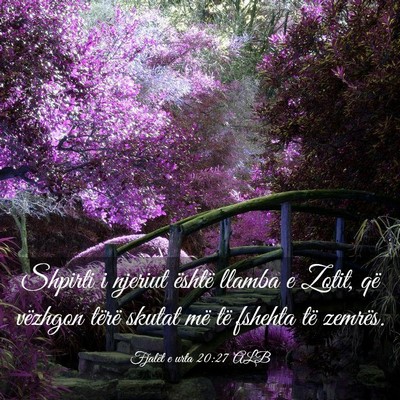 Picture 03 - Fjalët e urta 20:27 ALB - Shpirti i njeriut është llamba e Zotit, që - Bible Verse Picture