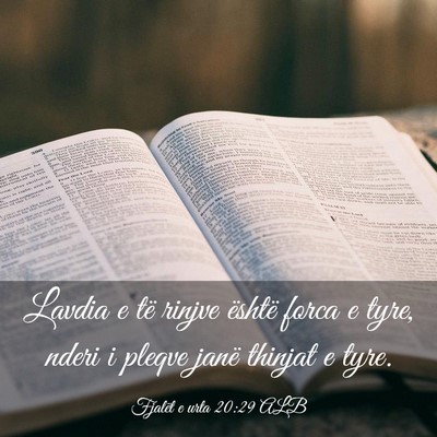 Picture 03 - Fjalët e urta 20:29 ALB - Lavdia e të rinjve është forca e tyre, nderi i - Bible Verse Picture