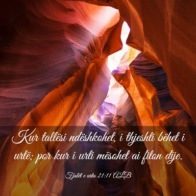 Picture 03 - Fjalët e urta 21:11 ALB - Kur tallësi ndëshkohet, i thjeshti bëhet i - Bible Verse Picture