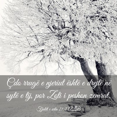 Picture 03 - Fjalët e urta 21:2 ALB - Çdo rrugë e njeriut është e drejtë në sytë - Bible Verse Picture