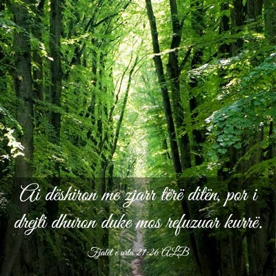Picture 03 - Fjalët e urta 21:26 ALB - Ai dëshiron me zjarr tërë ditën, por i drejti - Bible Verse Picture