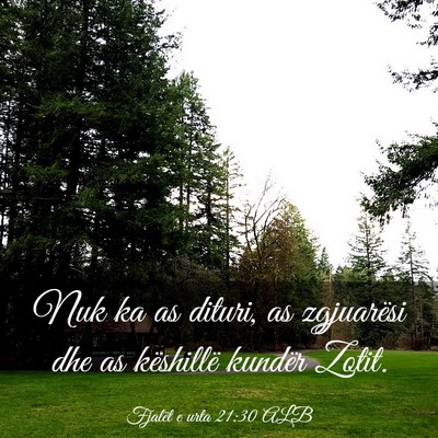 Picture 03 - Fjalët e urta 21:30 ALB - Nuk ka as dituri, as zgjuarësi dhe as këshillë - Bible Verse Picture