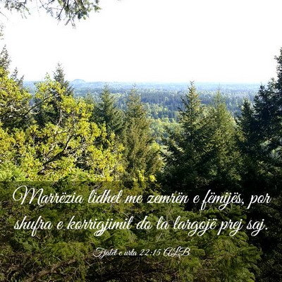 Picture 03 - Fjalët e urta 22:15 ALB - Marrëzia lidhet me zemrën e fëmijës, por - Bible Verse Picture