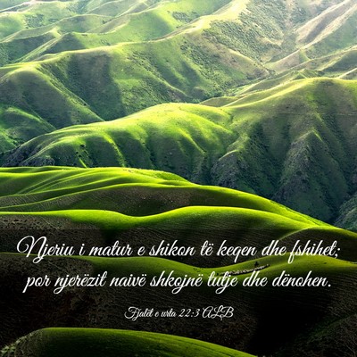 Picture 03 - Fjalët e urta 22:3 ALB - Njeriu i matur e shikon të keqen dhe fshihet; - Bible Verse Picture