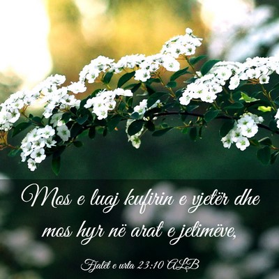 Picture 03 - Fjalët e urta 23:10 ALB - Mos e luaj kufirin e vjetër dhe mos hyr në arat - Bible Verse Picture