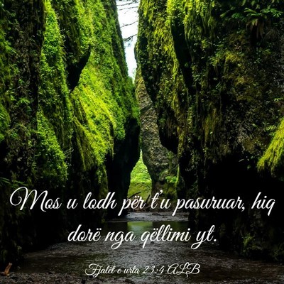 Picture 03 - Fjalët e urta 23:4 ALB - Mos u lodh për t’u pasuruar, hiq dorë nga - Bible Verse Picture