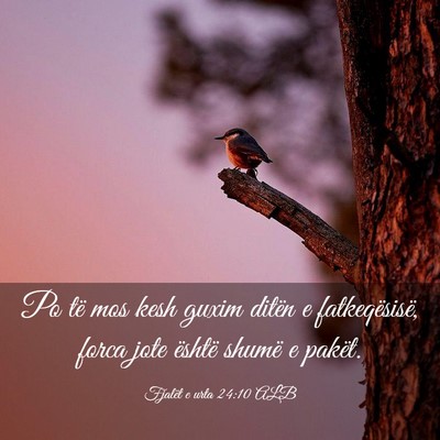 Picture 03 - Fjalët e urta 24:10 ALB - Po të mos kesh guxim ditën e fatkeqësisë, - Bible Verse Picture