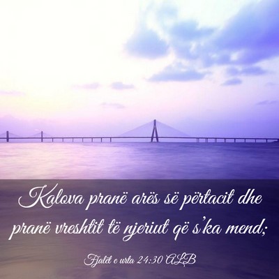 Picture 03 - Fjalët e urta 24:30 ALB - Kalova pranë arës së përtacit dhe pranë - Bible Verse Picture