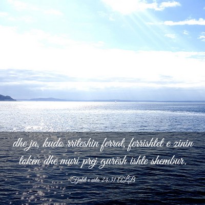 Picture 03 - Fjalët e urta 24:31 ALB - dhe ja, kudo rriteshin ferrat, ferrishtet e zinin - Bible Verse Picture