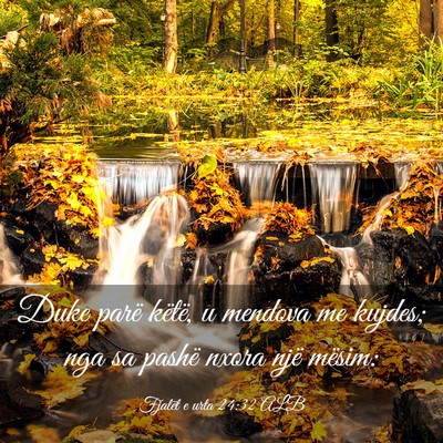 Picture 03 - Fjalët e urta 24:32 ALB - Duke parë këtë, u mendova me kujdes; nga sa - Bible Verse Picture