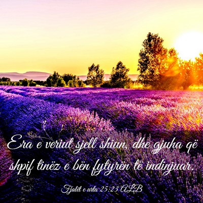 Picture 03 - Fjalët e urta 25:23 ALB - Era e veriut sjell shiun, dhe gjuha që shpif - Bible Verse Picture