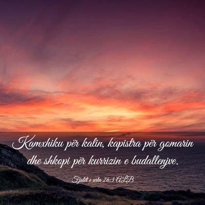Picture 03 - Fjalët e urta 26:3 ALB - Kamxhiku për kalin, kapistra për gomarin dhe - Bible Verse Picture