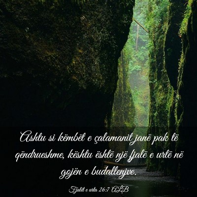 Picture 03 - Fjalët e urta 26:7 ALB - Ashtu si këmbët e çalamanit janë pak të - Bible Verse Picture