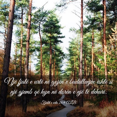 Picture 03 - Fjalët e urta 26:9 ALB - Një fjalë e urtë në gojën e budallenjve - Bible Verse Picture