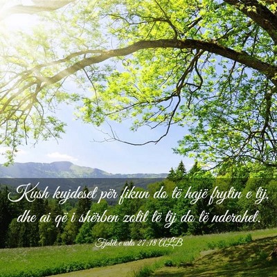 Picture 03 - Fjalët e urta 27:18 ALB - Kush kujdeset për fikun do të hajë frytin e - Bible Verse Picture