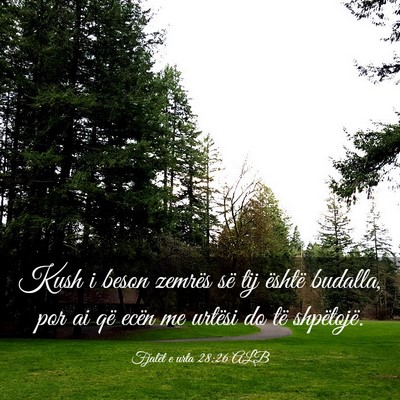 Picture 03 - Fjalët e urta 28:26 ALB - Kush i beson zemrës së tij është budalla, por - Bible Verse Picture