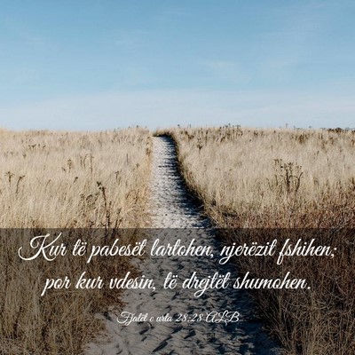 Picture 03 - Fjalët e urta 28:28 ALB - Kur të pabesët lartohen, njerëzit fshihen; por - Bible Verse Picture