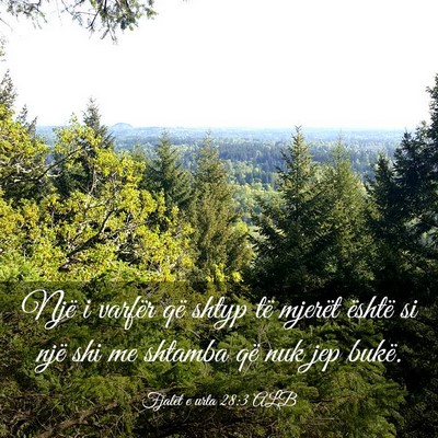 Picture 03 - Fjalët e urta 28:3 ALB - Një i varfër që shtyp të mjerët është si - Bible Verse Picture