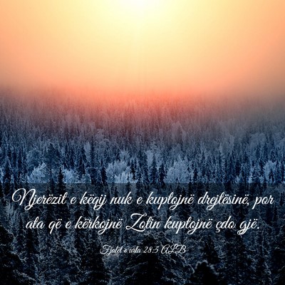 Picture 03 - Fjalët e urta 28:5 ALB - Njerëzit e këqij nuk e kuptojnë drejtësinë, - Bible Verse Picture