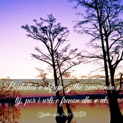 Picture 03 - Fjalët e urta 29:11 ALB - Budallai e shfryn gjithë zemërimin e tij, por i - Bible Verse Picture