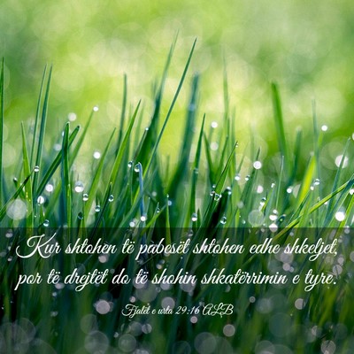 Picture 03 - Fjalët e urta 29:16 ALB - Kur shtohen të pabesët shtohen edhe shkeljet, - Bible Verse Picture
