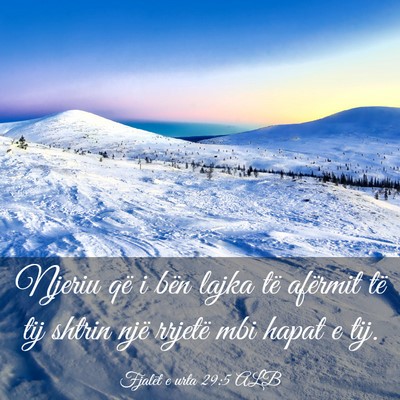 Picture 03 - Fjalët e urta 29:5 ALB - Njeriu që i bën lajka të afërmit të tij - Bible Verse Picture