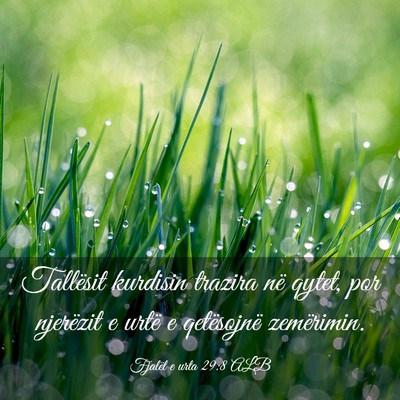 Picture 03 - Fjalët e urta 29:8 ALB - Tallësit kurdisin trazira në qytet, por - Bible Verse Picture