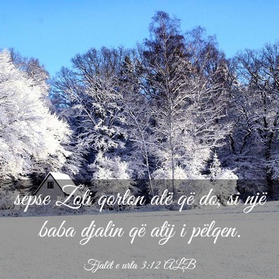 Picture 03 - Fjalët e urta 3:12 ALB - sepse Zoti qorton atë që do, si një baba - Bible Verse Picture