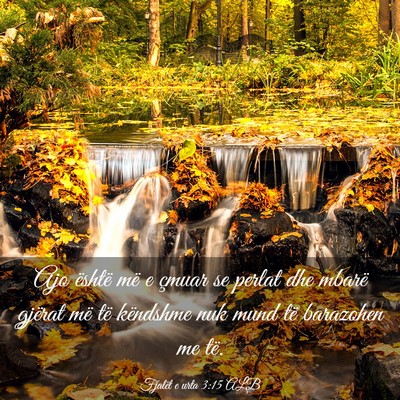 Picture 03 - Fjalët e urta 3:15 ALB - Ajo është më e çmuar se perlat dhe mbarë - Bible Verse Picture