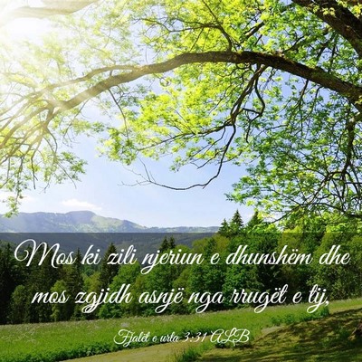 Picture 03 - Fjalët e urta 3:31 ALB - Mos ki zili njeriun e dhunshëm dhe mos zgjidh - Bible Verse Picture