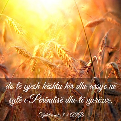 Picture 03 - Fjalët e urta 3:4 ALB - do të gjesh kështu hir dhe arsye në sytë e - Bible Verse Picture