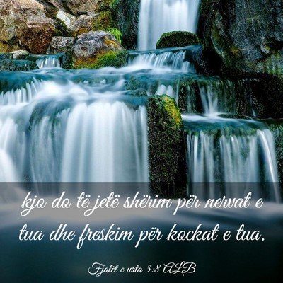 Picture 03 - Fjalët e urta 3:8 ALB - kjo do të jetë shërim për nervat e tua dhe - Bible Verse Picture