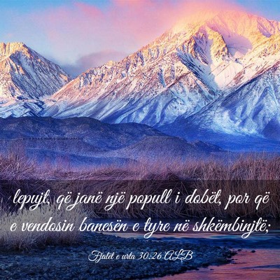 Picture 03 - Fjalët e urta 30:26 ALB - lepujt, që janë një popull i dobët, por që e - Bible Verse Picture
